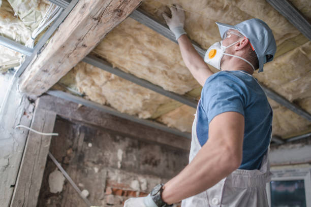 Best Attic Insulation Installation  in Panama City, FL